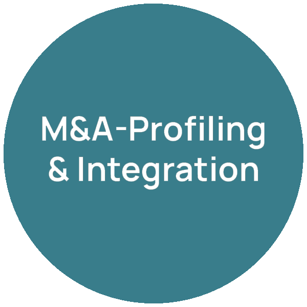 M&A und Post-Merger-Integration – Beratungsfeld neumacher