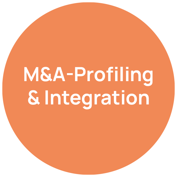 M&A und Post-Merger-Integration – Beratungsfeld neumacher