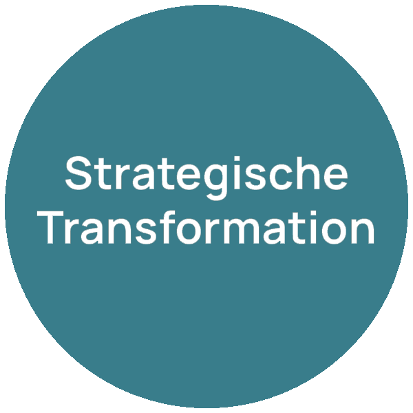 Strategische Transformation – Beratungsfeld neumacher
