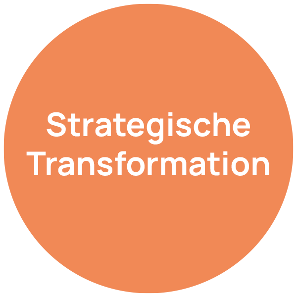 Strategische Transformation – Beratungsfeld neumacher