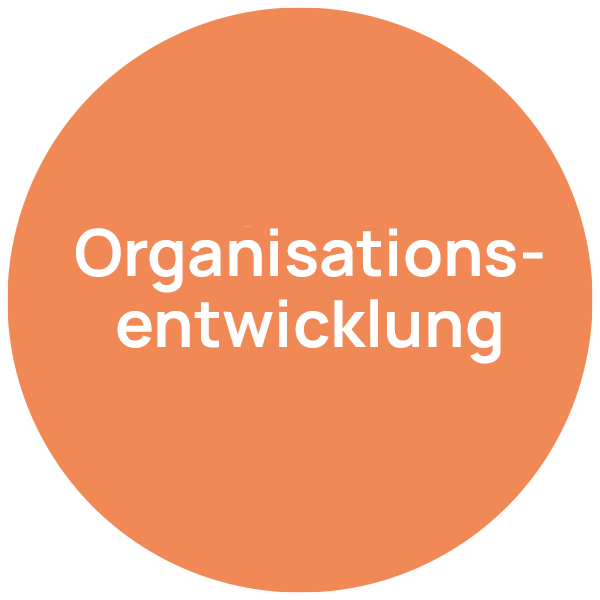 Organisationsentwicklung – Beratungsfeld neumacher