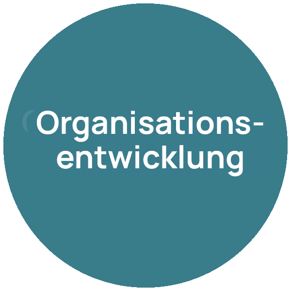 Organisationsentwicklung – Beratungsfeld neumacher