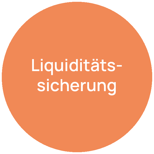 Liquiditätssicherung Beratungsfeld